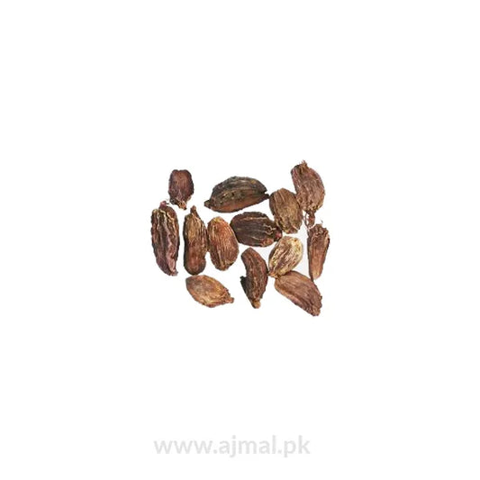 Large Cardamom | Elaichi Kalan | الاِئچی کلاں