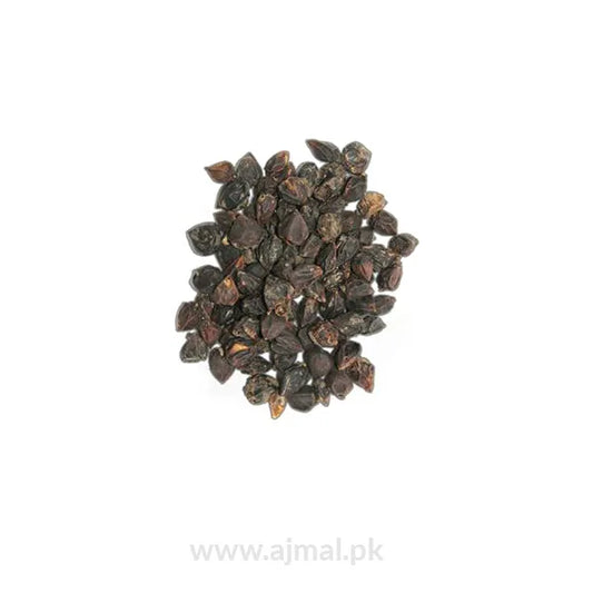 Sebesten Plum | Lasora | لسوڑیاں