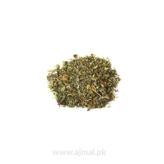 Spearmint | Podina Kohi | پودینہ کوہی